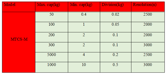 Crane Scale